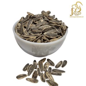 خرید تخمه آفتابگردان کانادایی