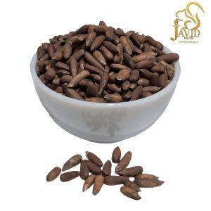 خرید چلغوز تازه و با کیفیت آجیل لوکس و گرانبها