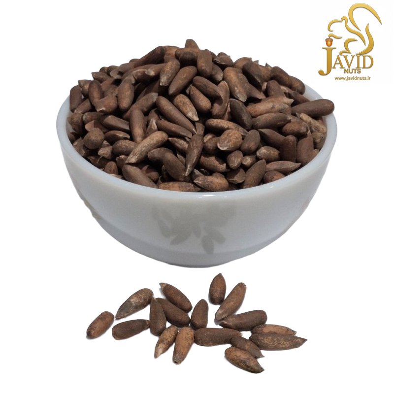 خرید چلغوز تازه و با کیفیت آجیل لوکس و گرانبها