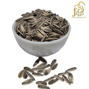 خرید تخمه دورسفید ایرانی با کیفیت