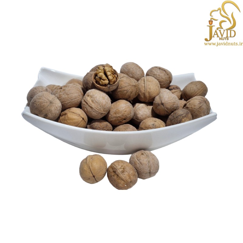 خرید گردو خارجی پوست کاغذی اعلا